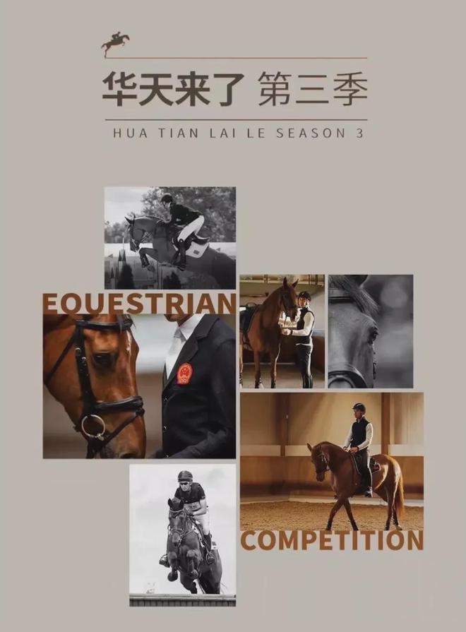 “骑”心协力 人马一心 2024马房管理挑战大赛精彩纷呈(图4)