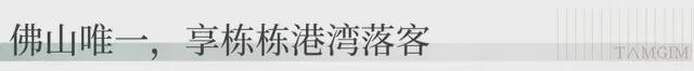 珺领佛山秀台上演国际大秀！他们将是佛山的未来？(图21)