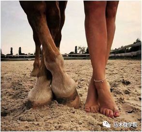这些马匹日常护理你做到了吗？(图2)