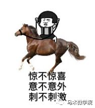 聊一聊马术装备的重要性-马术头盔知多少