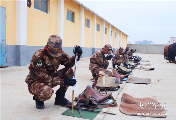 换季保养军马顶级护理套餐！(图8)