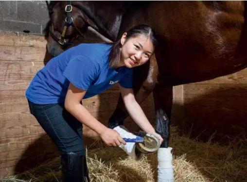 香港育马者联盟、香港马主协会代表团一行到访中国马会