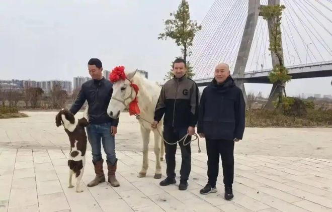 全网点赞救人“白龙马”！但它发烧40度的健康警报你注意到了么？(图3)