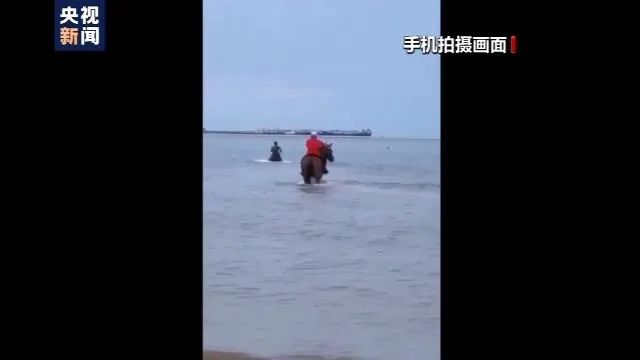 全网点赞救人“白龙马”！但它发烧40度的健康警报你注意到了么？(图4)