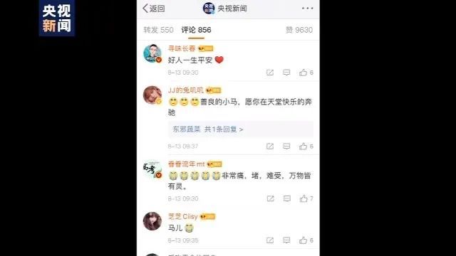 全网点赞救人“白龙马”！但它发烧40度的健康警报你注意到了么？(图6)