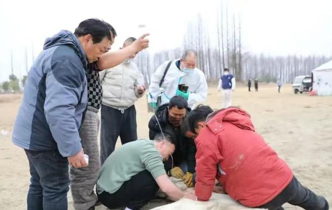 跳江救人的“白龙”马不幸死亡：突发肠道疾病非救人呛水所致(图1)