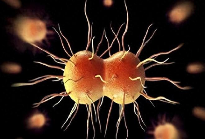 死亡率高达70％美国出现新病毒传染性极高或威胁全人类