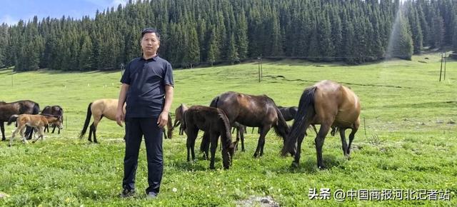 第二届无极滹沱草原 “通田杯” 赛马嘉年华喜迎元旦赛事公告