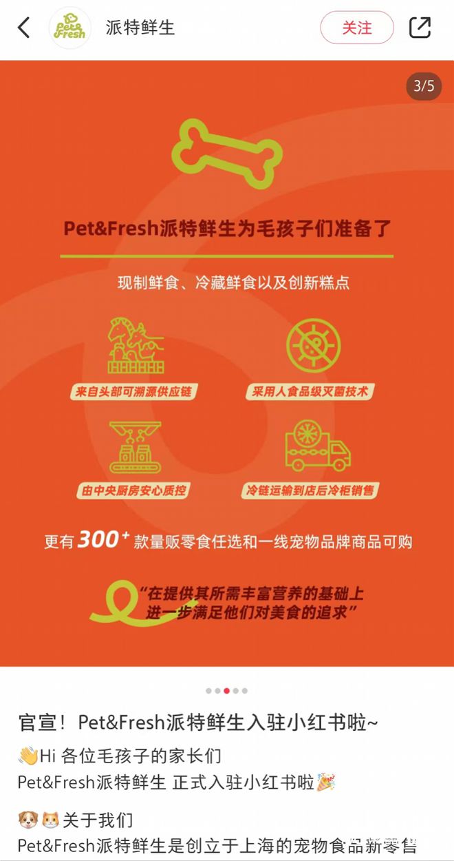 盒马创始人侯毅新项目将开首店瞄准上海宠物食品第一品牌