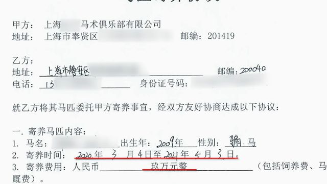 百万赛马寄养不到半年就死在养马场谁来担责？(图2)