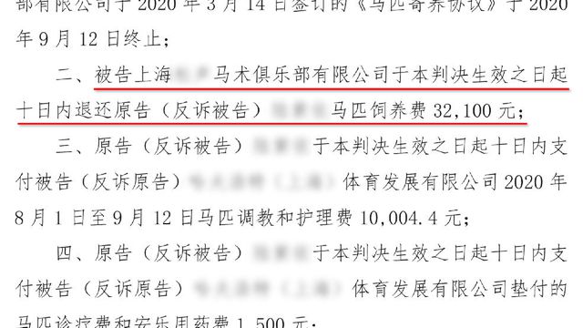 百万赛马寄养不到半年就死在养马场谁来担责？(图5)
