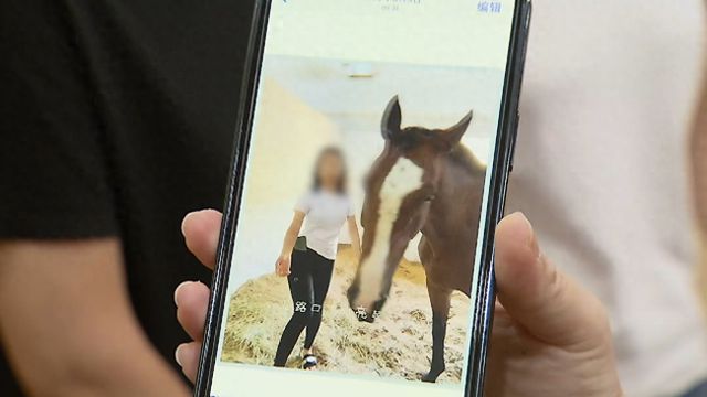 百万赛马寄养不到半年就死在养马场谁来担责？