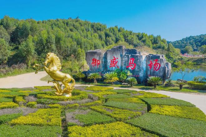 春游团建正当时来花都解锁新玩法