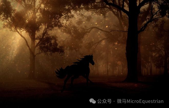进入老年期的马是否需要特殊照顾？(图6)