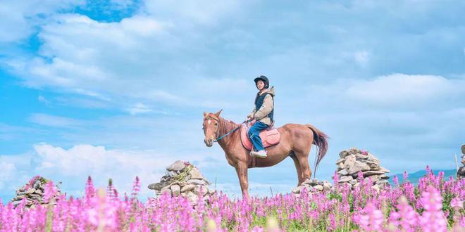 限量早鸟！青海湖亲子营1家1司机1房车20+特色亲子体验(图30)