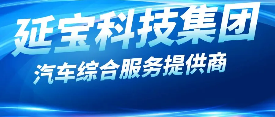 政企跨城联动延宝科技集团携手镇海区一行领导共赴杭州梦马汽车小镇(图9)