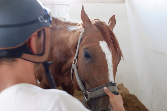 我国牵头制定世界首个养老机器人国际标准正式发布