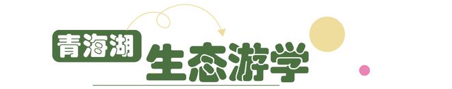 限量早鸟！青海湖亲子营1家1管家1房车20+特色亲子体验(图7)