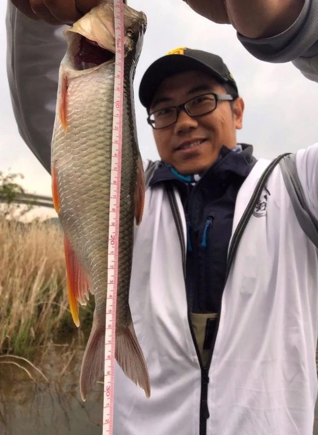 洛阳男子钓到巨型马口半米长比手腕还粗网友却质疑造假(图4)