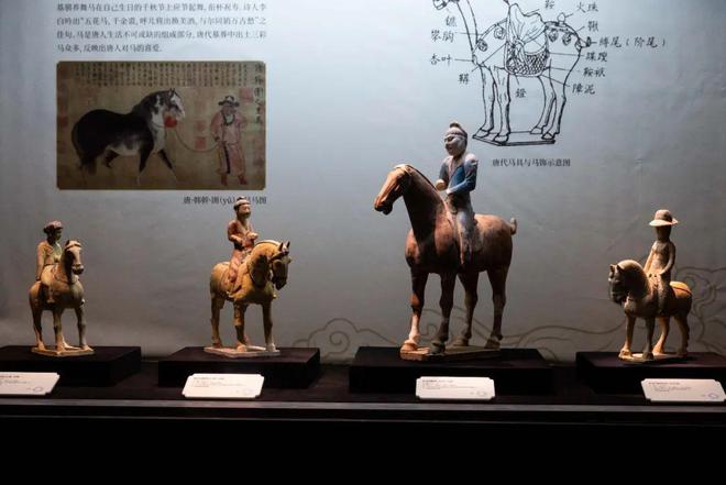 超级明星：唐代的马会跳舞(图2)