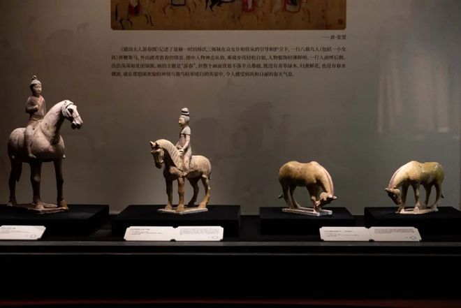 超级明星：唐代的马会跳舞(图6)