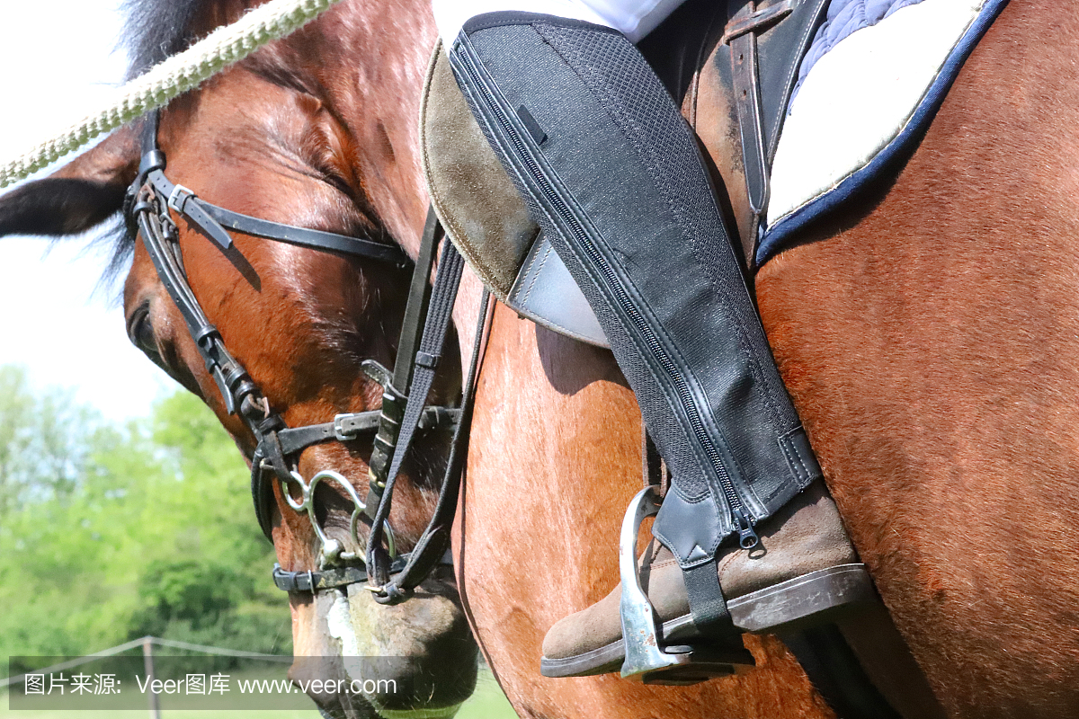 Horse World Expo and Theatre Equus