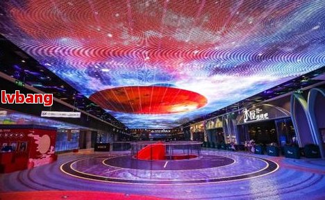 深圳马术体验馆地址及优势