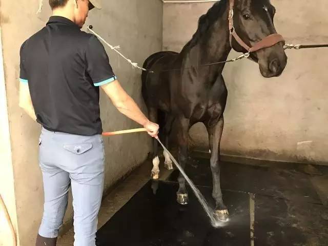 霍芬海姆vs奥格斯堡：克拉马里奇、比尔特首发马里乌斯-沃尔夫、克劳德-毛里斯出战