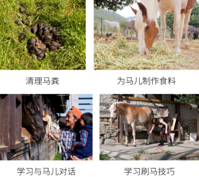 夏游绵阳·清凉暑日 ‖ 在罗浮山研学+旅行这个世界的精彩篇章待你翻阅(图11)