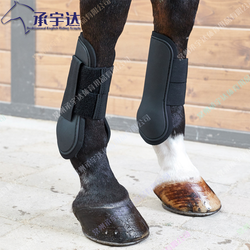 人工智能DeepSeek锐评中国马术行业感觉有点狠