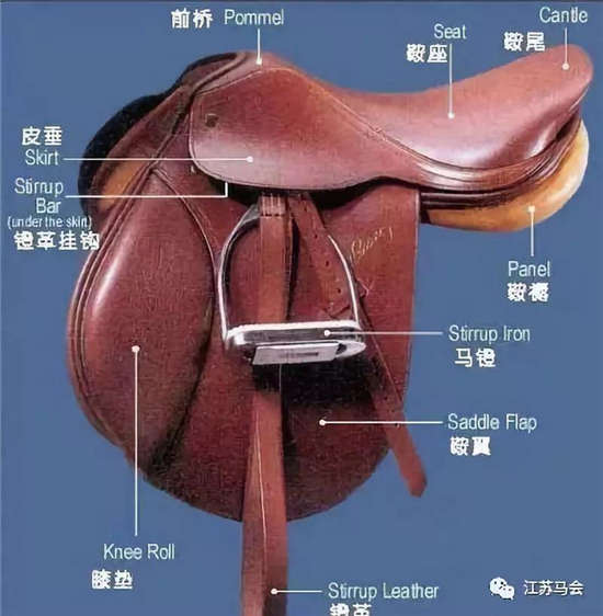 燕龙马业爱马马术课堂马术运动中常用的马具有哪些？(图4)