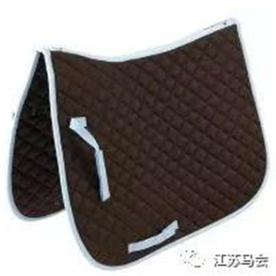 燕龙马业爱马马术课堂马术运动中常用的马具有哪些？(图6)