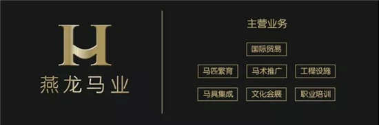 燕龙马业爱马马术课堂马术运动中常用的马具有哪些？(图8)