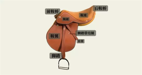 爱马仕遇上马术之马术装备篇(图4)
