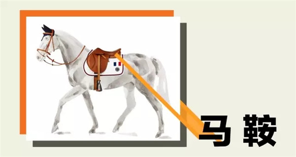 爱马仕遇上马术之马术装备篇(图1)
