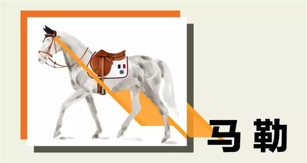 爱马仕遇上马术之马术装备篇(图9)