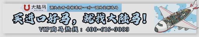 给马绑辫子有讲究：骟马 13 条、母马 12 条偶数保平安？(图2)
