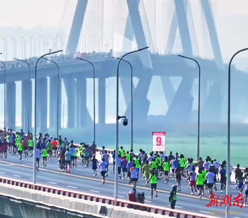 “岳马”奔腾！两万跑友逐梦大美江湖(图3)