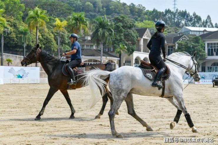 第十五届全国运动会马术项目场地障碍资格赛在东莞长安开赛(图1)