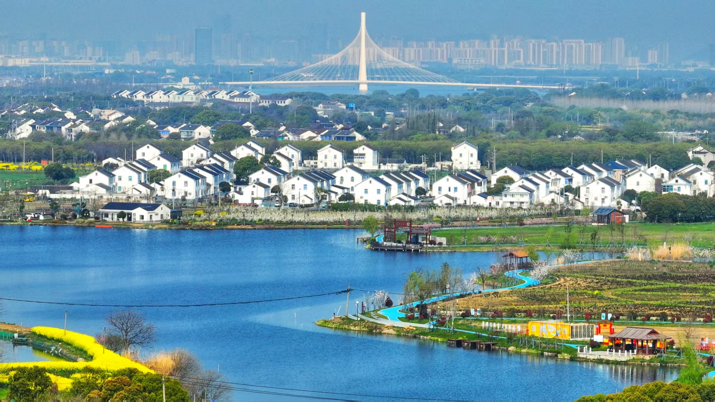 无锡鹅湖镇：青鱼之乡向“新”游(图4)