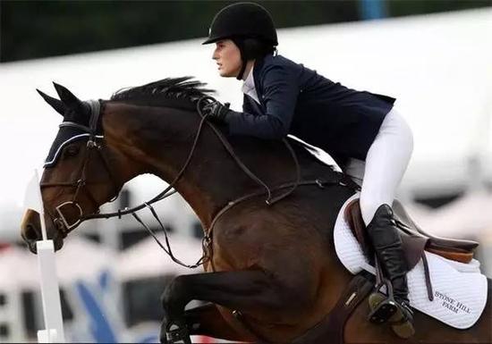 INTERNATIONAL AUSTRIAN HORSE FAIR(图1)