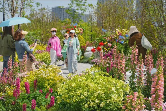 15公里花路升级+赛事演出来前滩世博商圈“解锁”春日多巴胺(图6)