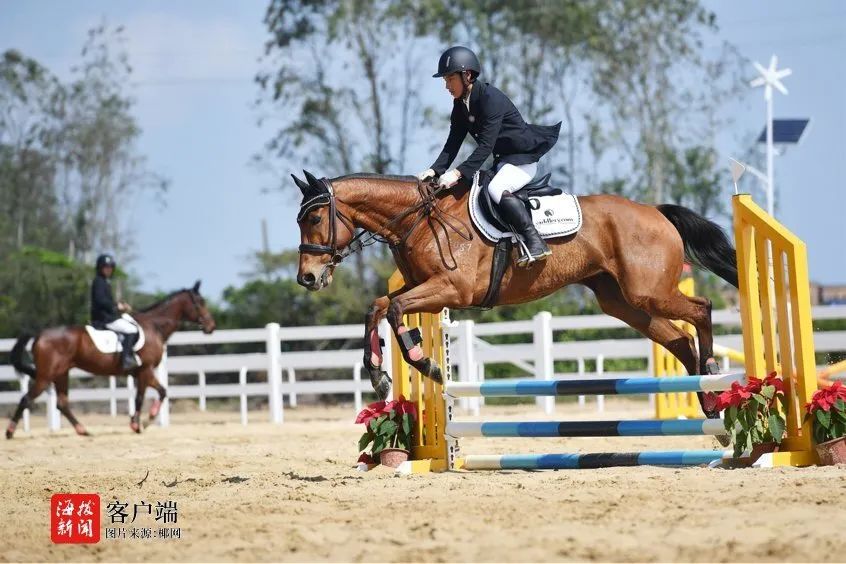 海棠有“马” 春节我在岗！(图1)