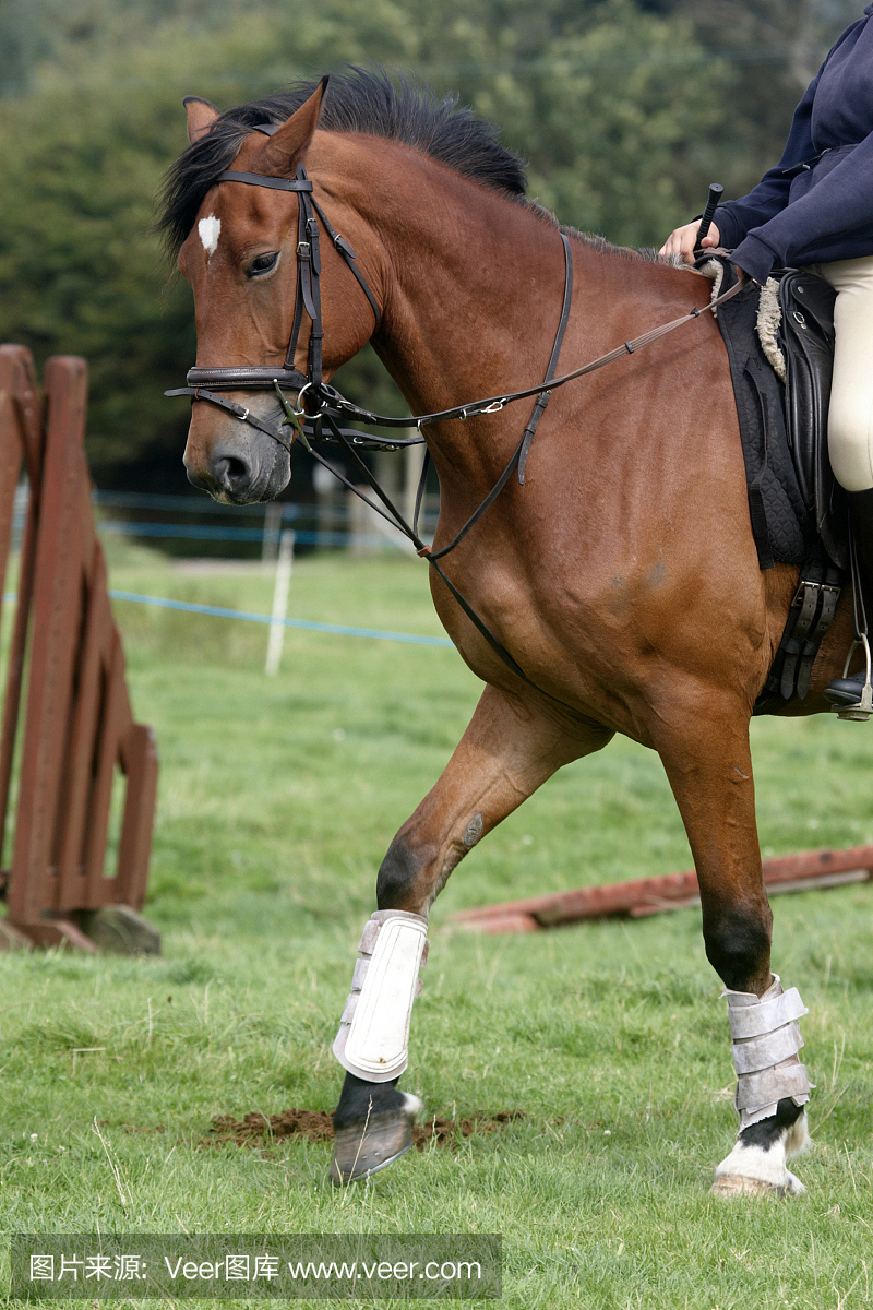 春节最强玩法全在索河郊野公园(图1)