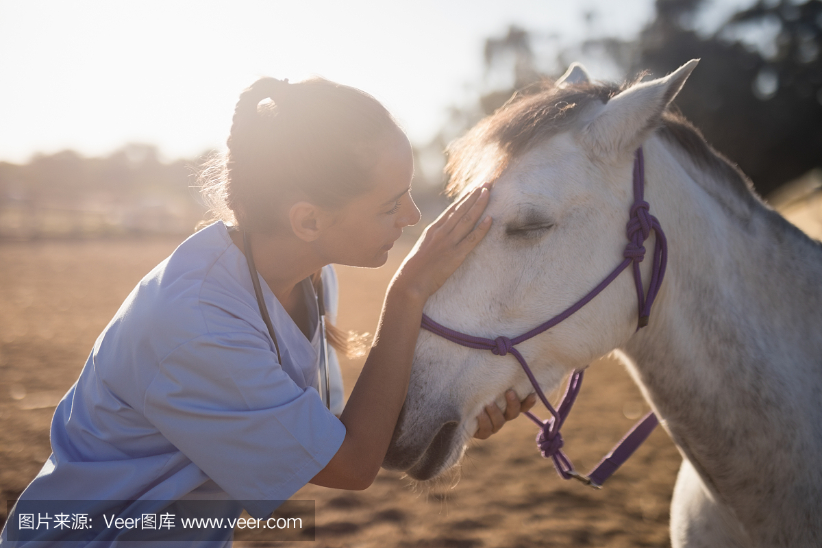 马上运动 快意风行(图1)