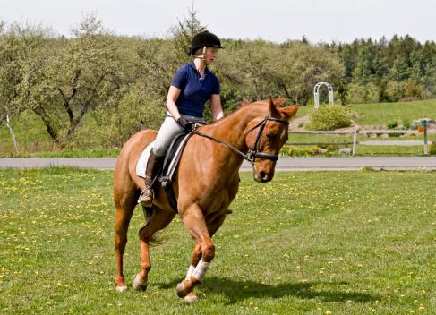 马上添喜 马宝宝驾到(图1)