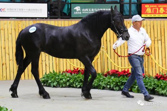 李可染画了9头牛卖了2100万他只画了一头马却卖了2415万(图1)