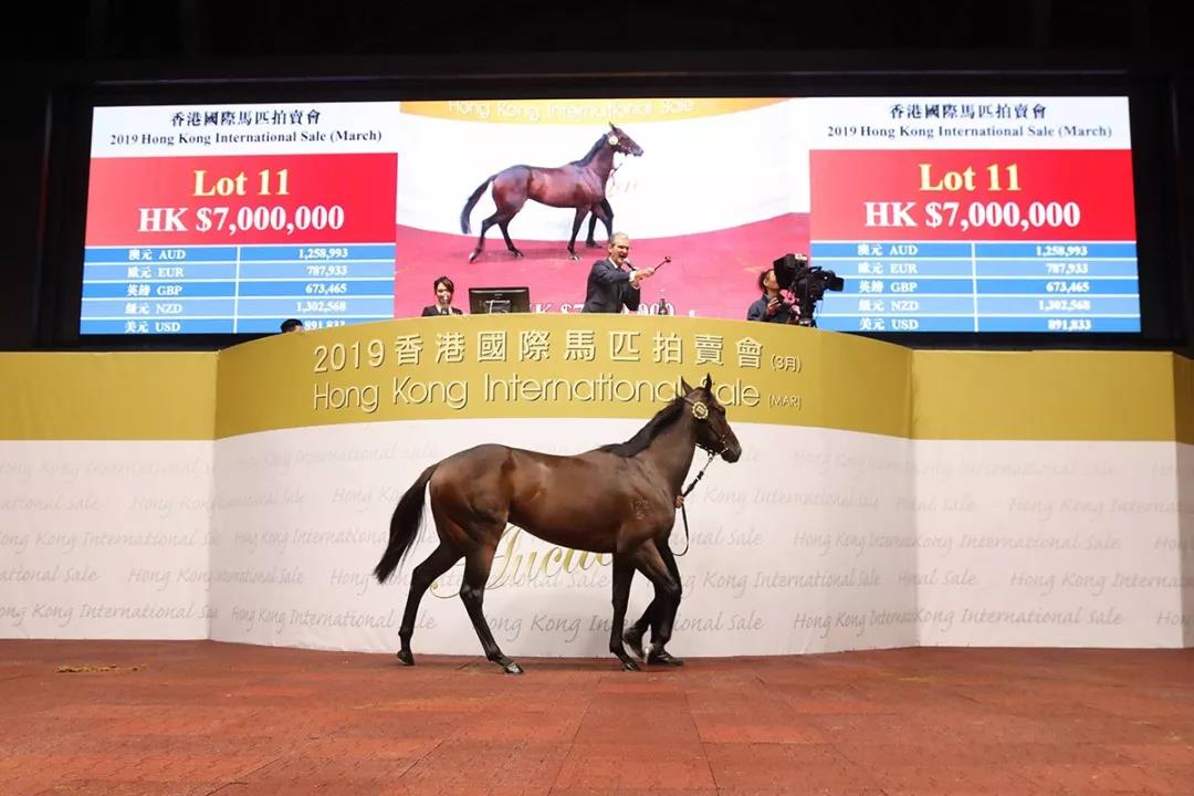 重庆新春加“马”宠客丨长街宴开席 烟火气升腾 北碚偏岩古镇年味浓(图1)