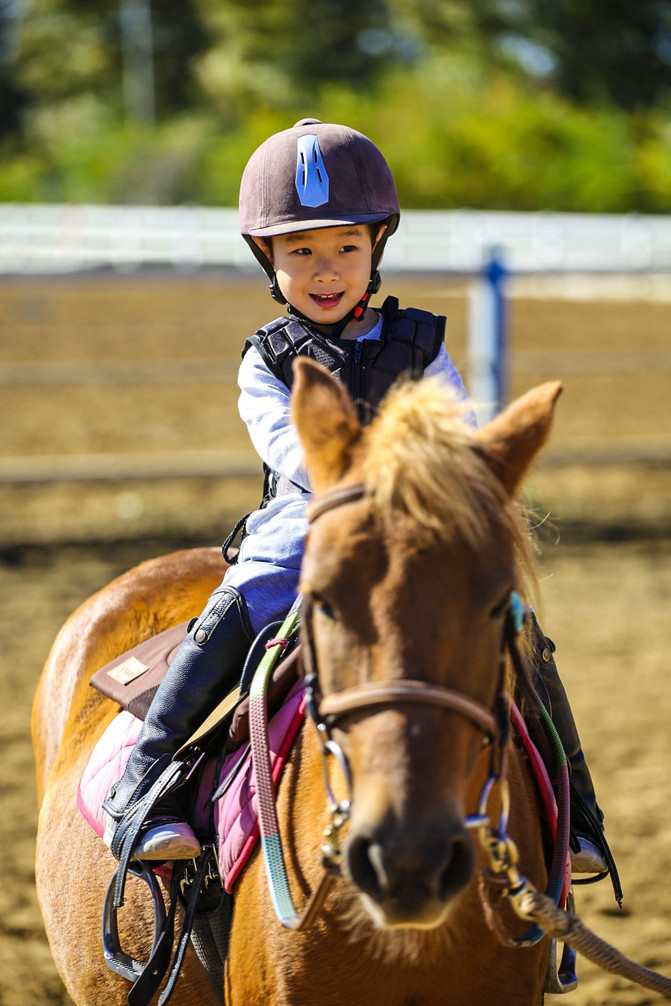 甬有幸福年 慈溪：在“慈”加马迎新年 2026年新春花样来袭！(图1)