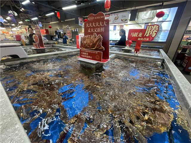 新春“马”力丨品质高、寓意好、更便捷的商品成春节消费的关键词(图3)